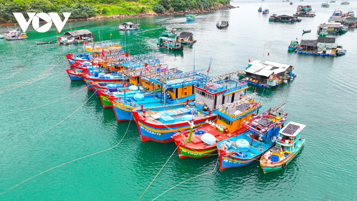 Nông nghiệp An Giang - bệ đỡ kinh tế địa phương